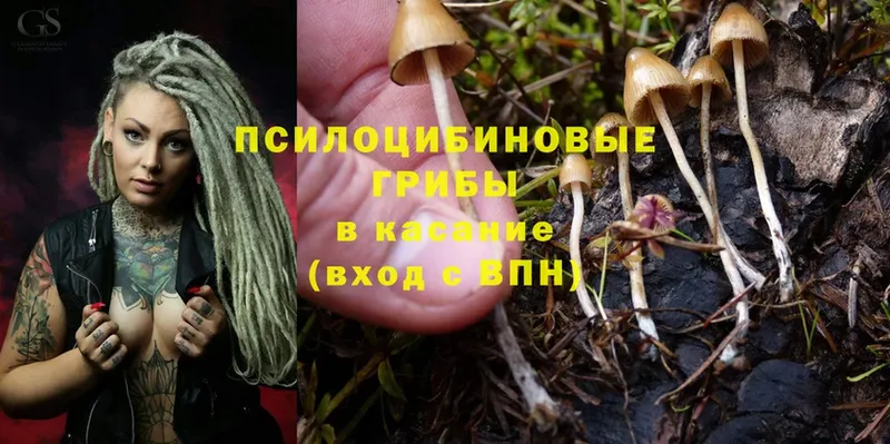 Псилоцибиновые грибы Magic Shrooms  купить наркотик  Жуковский 